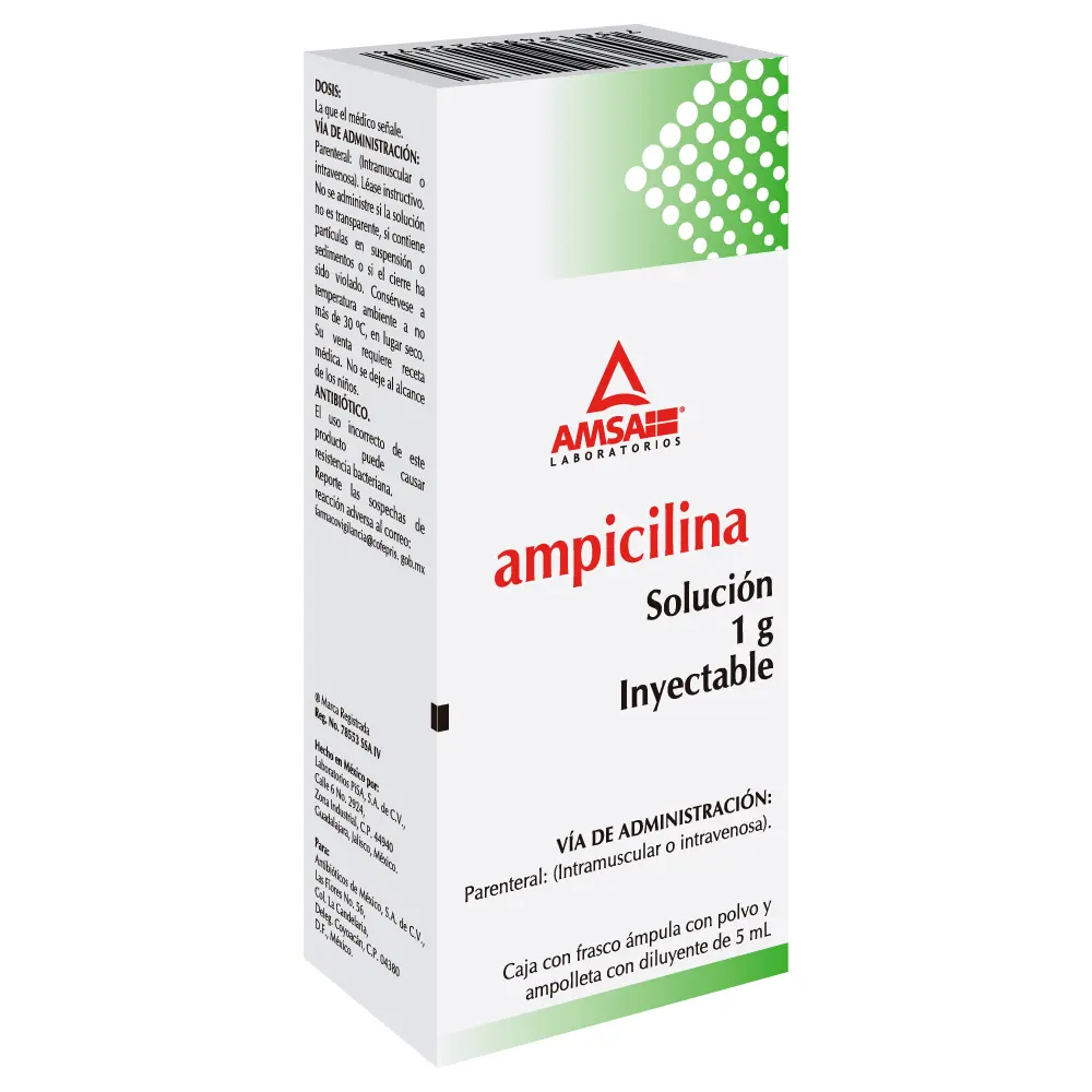 AMPICILINA 1GR C/1 AMP INY (AMSA)