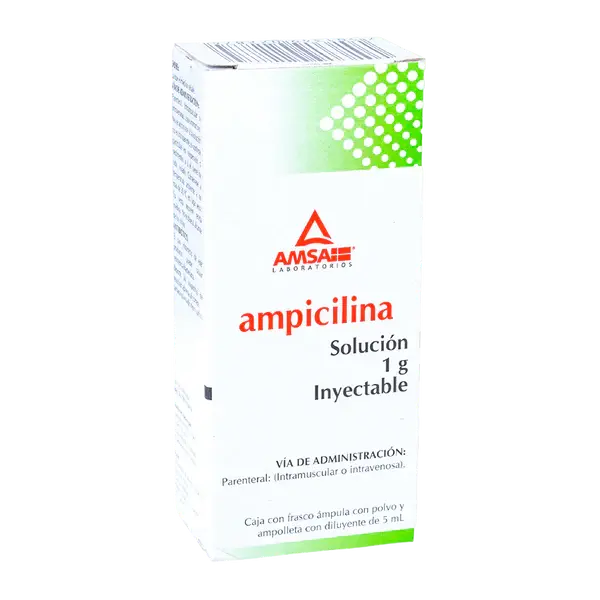 AMPICILINA 1GR C/1 AMP INY (AMSA)
