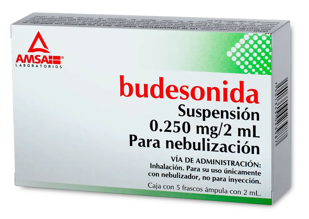 BUDESONIDA 0.250 MG/2 ML P/NEB C/5 AMP (AMSA)