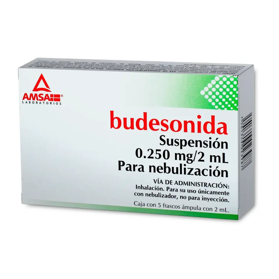 BUDESONIDA 0.250MG/2ML P/NEB C/5 AMP (AMSA)