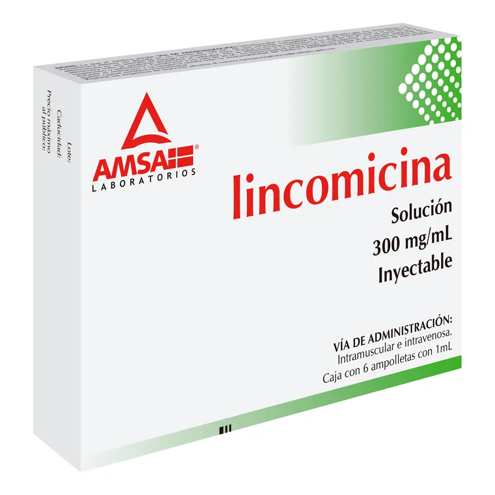 LINCOMICINA 300MG/2ML C/6 AMP (AMSA)
